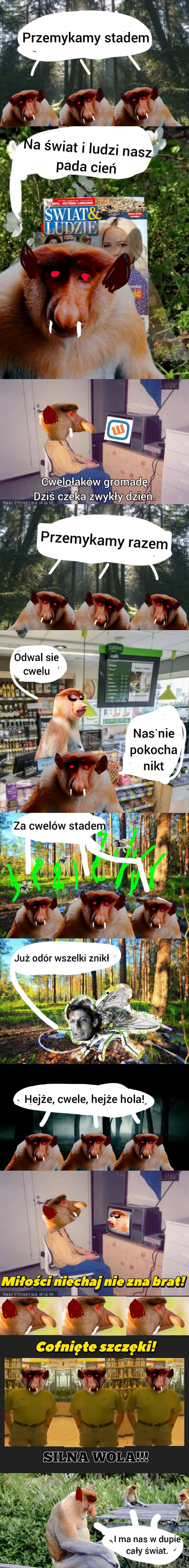 Dzieło sztuki #17860