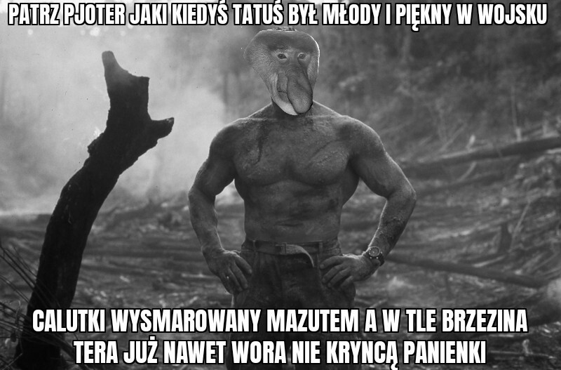 Dzieło sztuki #17862