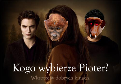 Dzieło sztuki #17872