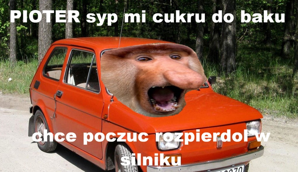 Dzieło sztuki #17873