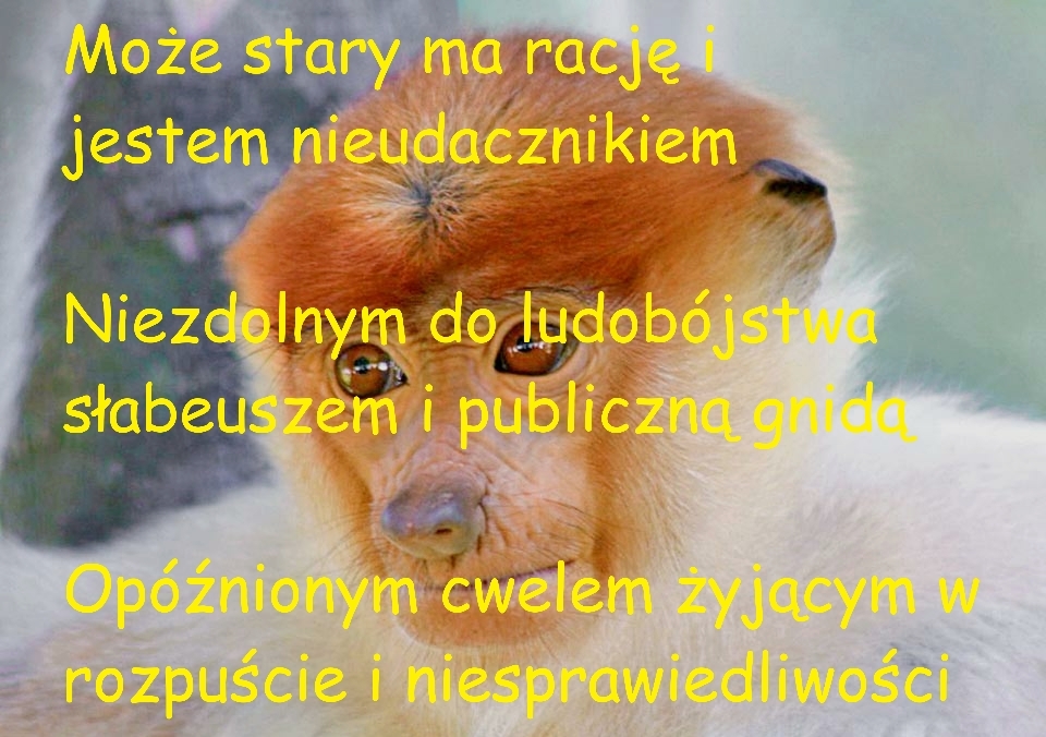 Dzieło sztuki #17912