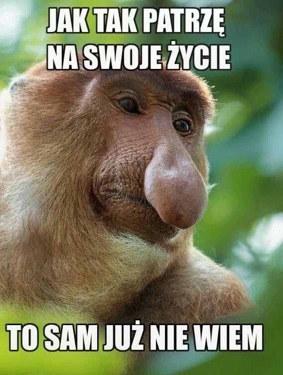 Dzieło sztuki #17924