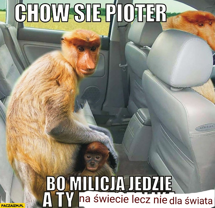 Dzieło sztuki #17929