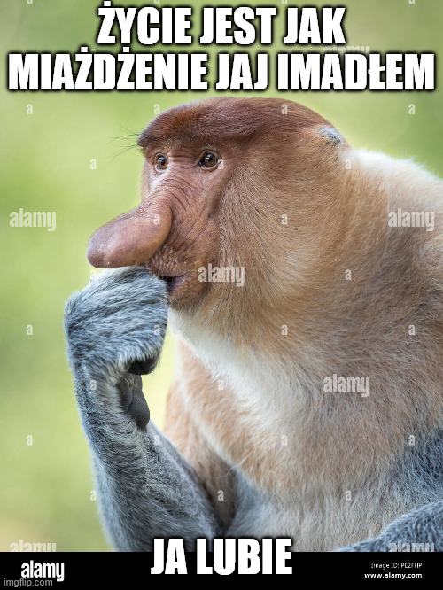 Dzieło sztuki #17942