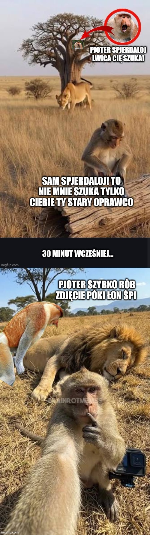 Dzieło sztuki #17949
