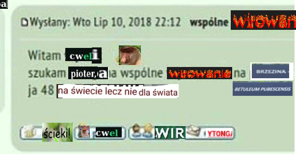 Dzieło sztuki #17956