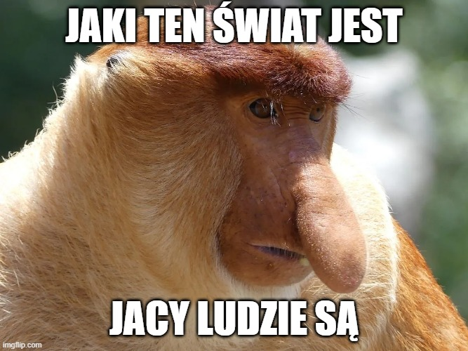 Dzieło sztuki #17969