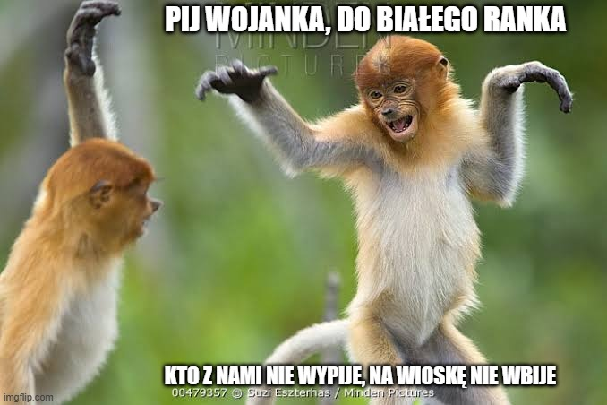 Dzieło sztuki #17970