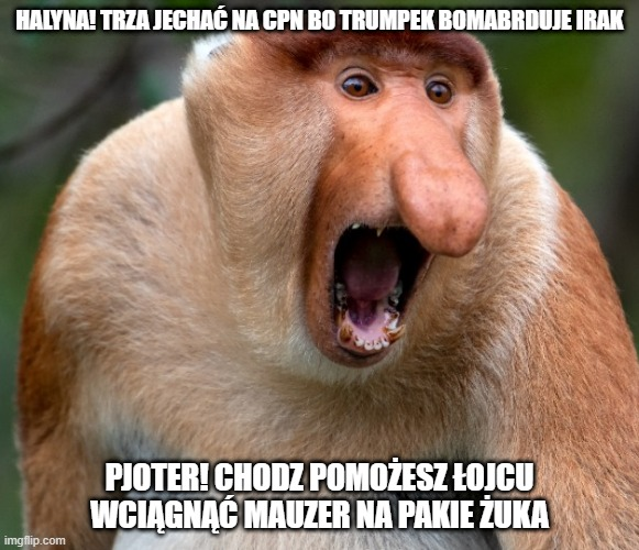 Dzieło sztuki #17984