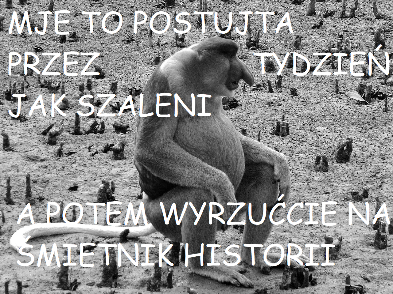 Dzieło sztuki #17993