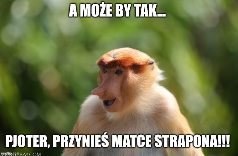 Dzieło sztuki #17998