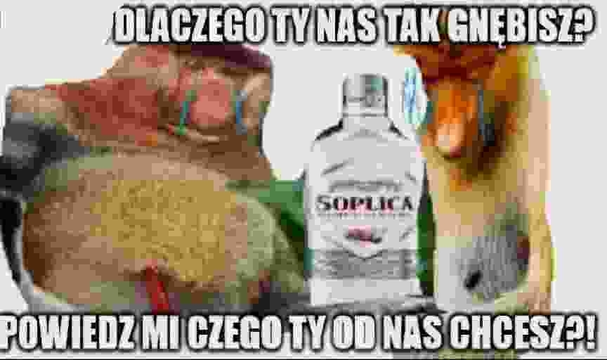 Dzieło sztuki #18004