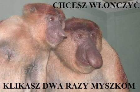 Dzieło sztuki #18017