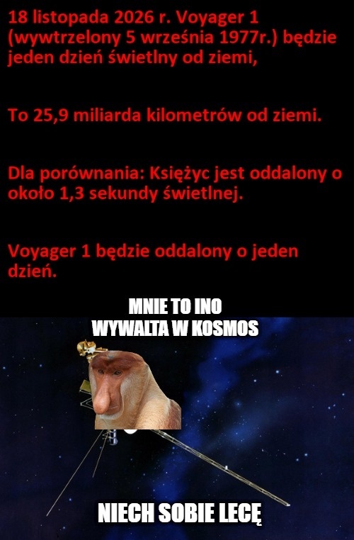 Dzieło sztuki #18019