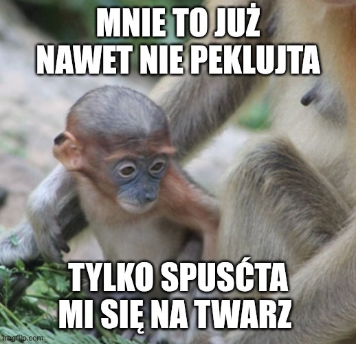 Dzieło sztuki #18026