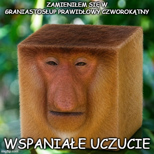 Dzieło sztuki #18027