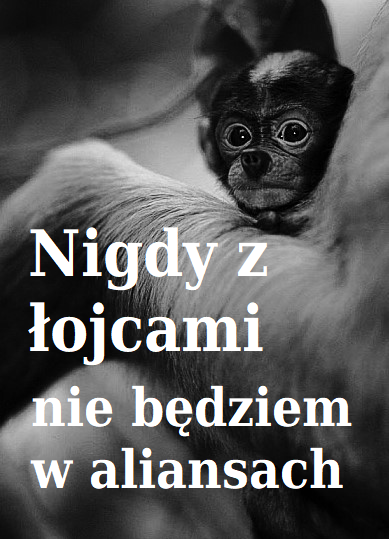 Dzieło sztuki #18037