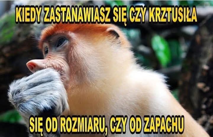 Dzieło sztuki #18050
